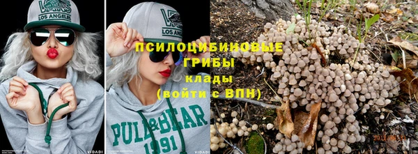гидра Белокуриха