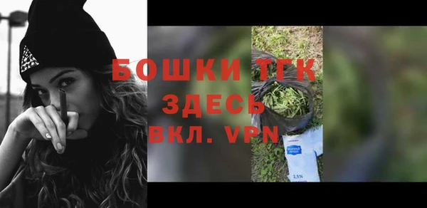 индика Балабаново