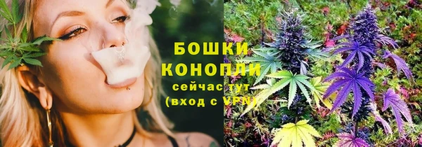 гидра Белокуриха