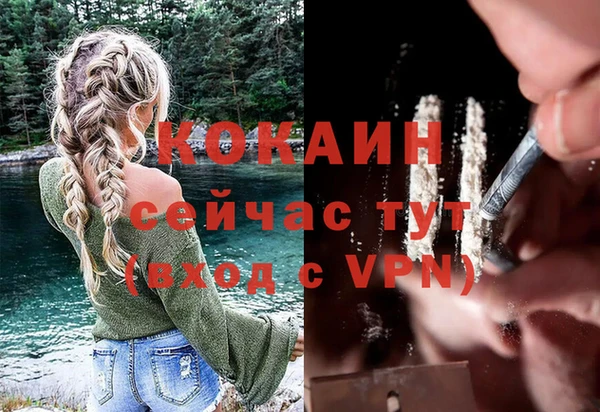 гидра Белокуриха