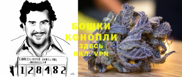 прущие грибы Белоозёрский