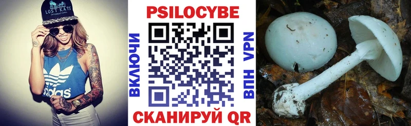мега сайт  Козельск  Галлюциногенные грибы мухоморы 